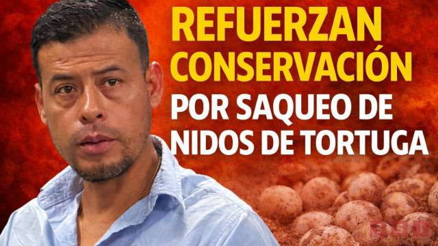 Susana Solis Informa Más de 800 nidos saqueados en Puerto Arista; intensifican protección de tortugas