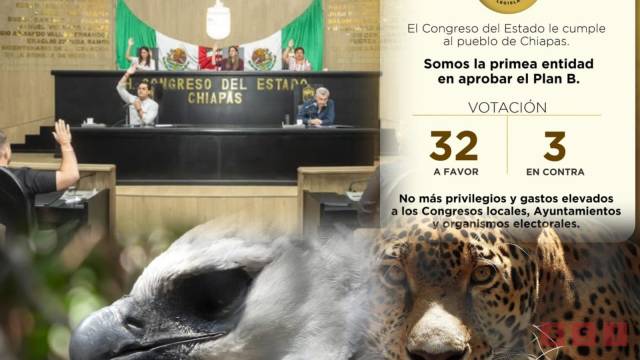 Susana Solis Informa ¿Ser político es un buen negocio?