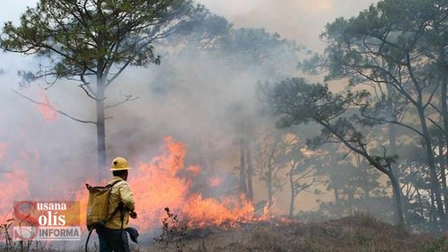 Susana Solis Informa MÁS de 300 incendios forestales en Chiapas
