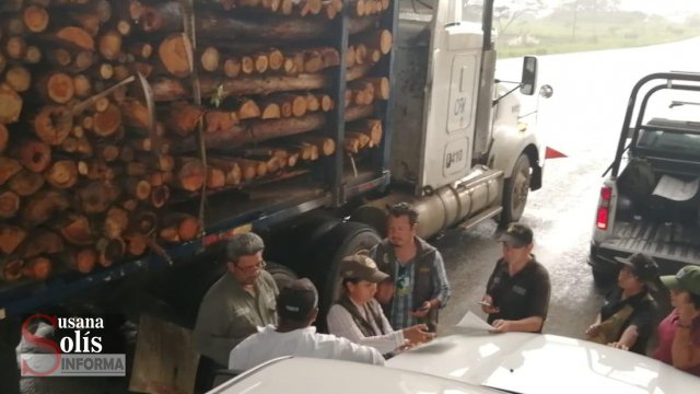 Susana Solis Informa DECOMISAN madera ilegal en la zona Norte y Maya de Chiapas