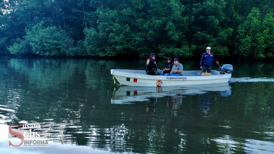 REALIZAN operativos para evitar saqueo de nidadas de tortugas golfinas Susana Solis Informa