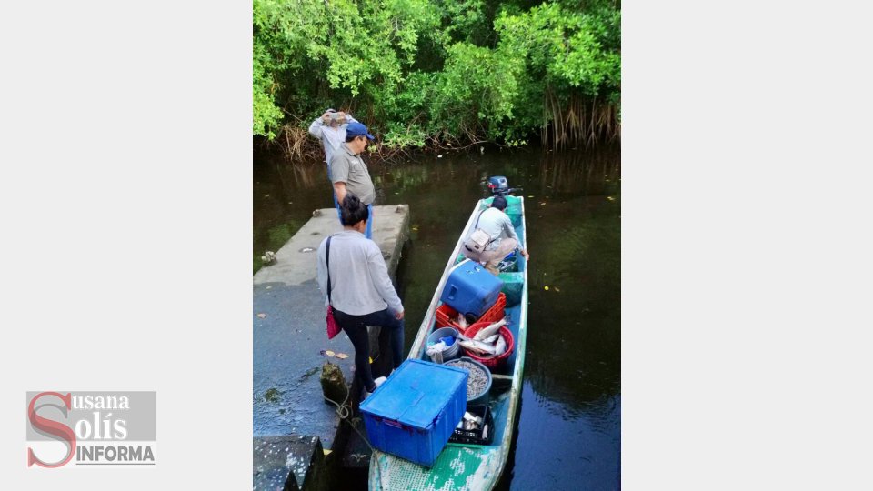 El operativo fue en el embarcadero Las Garzas, Barra Zacapulco y Barra La Lupe