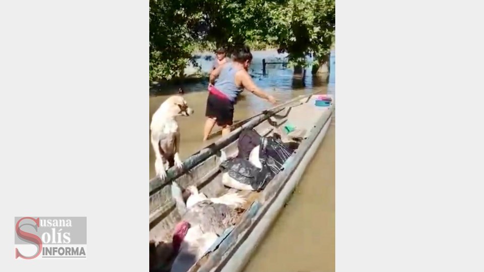 Damnificados fueron rescatados por sus propios familiares dado que el agua está estancada en sus viviendas.