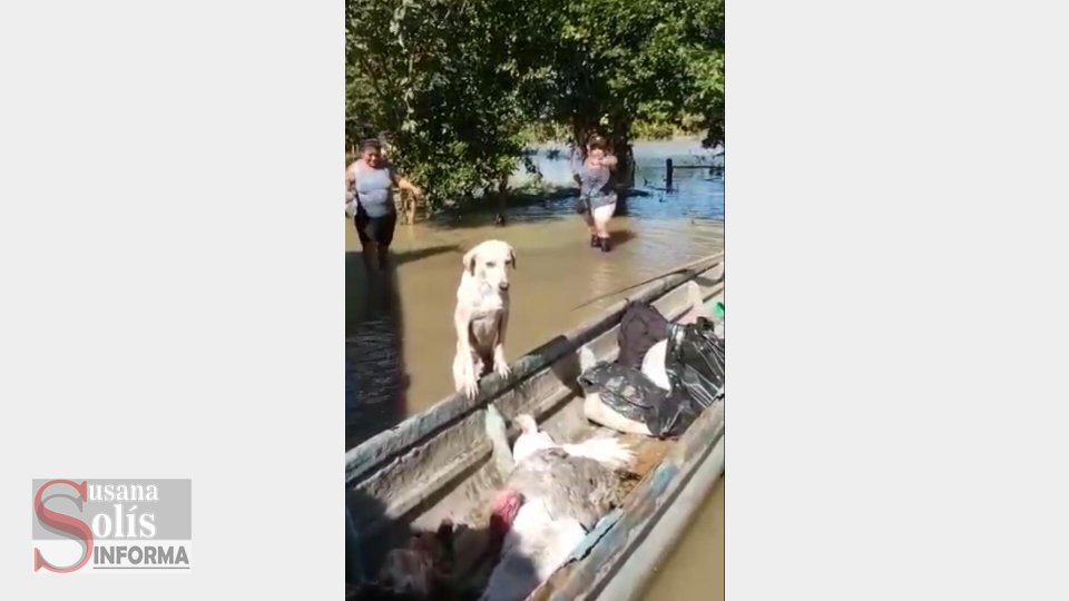 NO han recibido ninguna ayuda humanitaria señalan habitantes de Catazajá