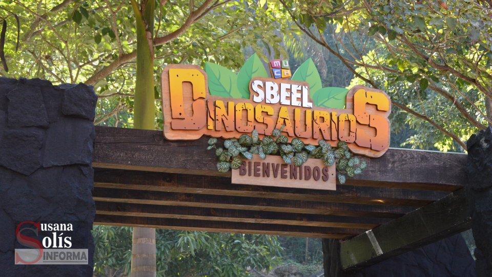 Los miércoles por la compra de un boleto para adulto entrará gratis un menor de edad. De martes a domingo el acceso es gratuito a personas con discapacidad.