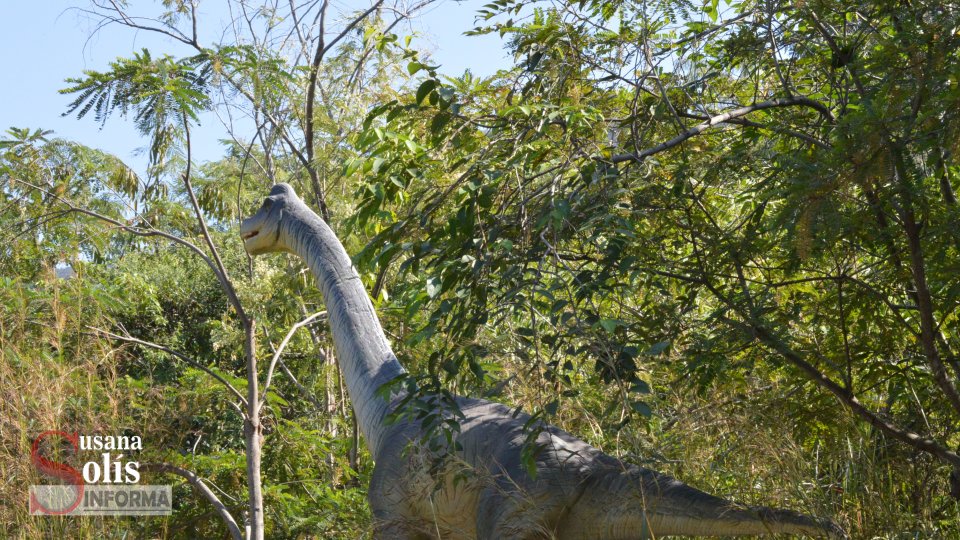 Los boletos podrá adquirirlos en www.museo.chiapas.gob.mx