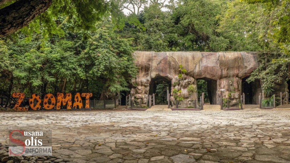 NO EXISTE EL PLAN DE MEDIO AMBIENTE 2019-2024