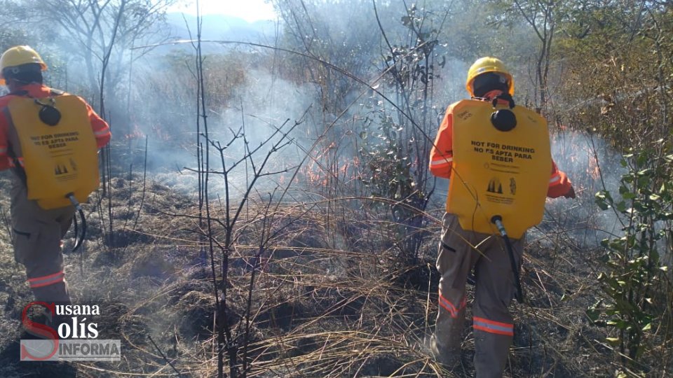 Atiende Protección Civil municipal incendios de pastizales en la ciudad