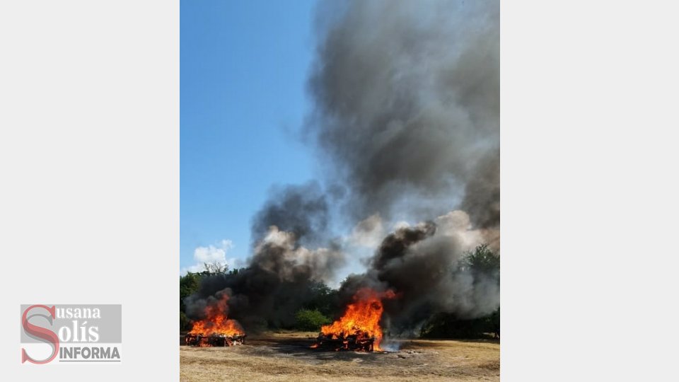 INCINERAN más de una tonelada de drogas Susana Solis Informa