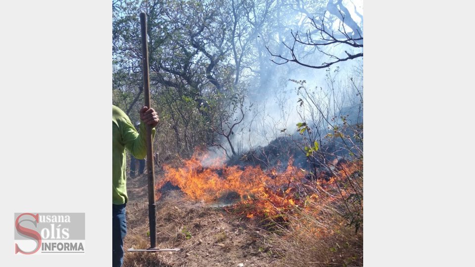 MÁS de 400 hectáreas afectadas por incendios en Chiapas Susana Solis Informa