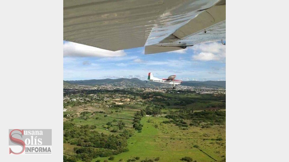 ARRANCARÁ campaña de recolección de semillas para reforestar Chiapas - Susana Solis Informa