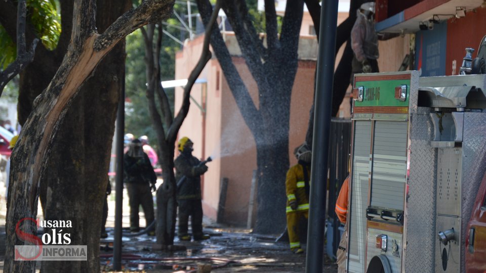 ABEJAS atacan a adultos mayores en puesto de vacunación antiCovid - Susana Solis Informa