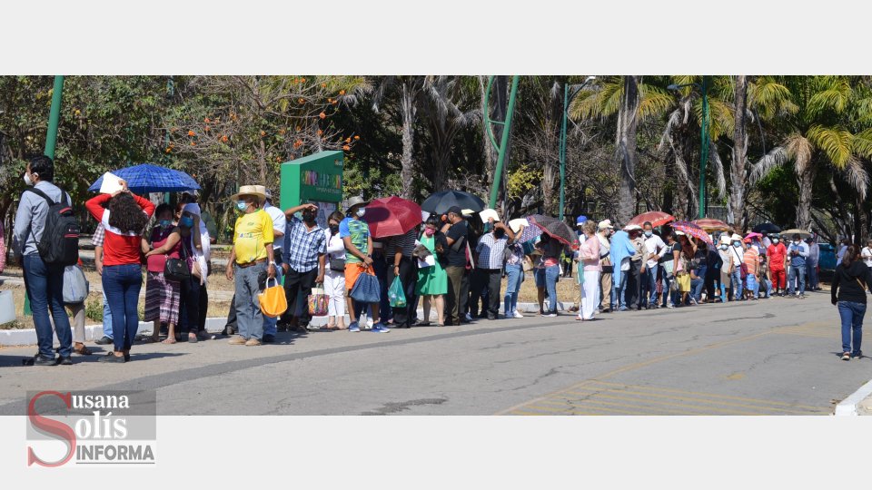 En el módulo de Caña Hueca aplicarán 1, 800 dosis