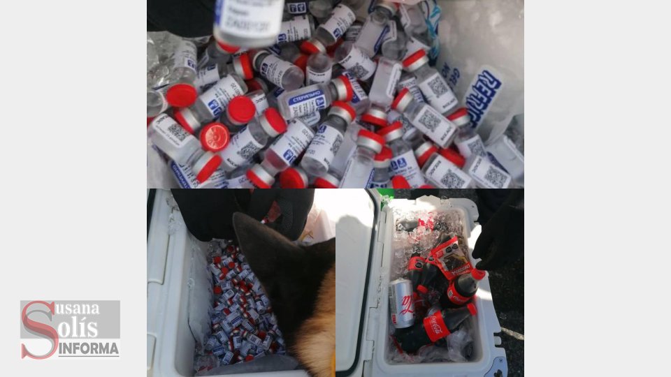 AERONAVE que llevaba vacunas falsas, voló de Chiapas a Campeche - Susana Solis Informa