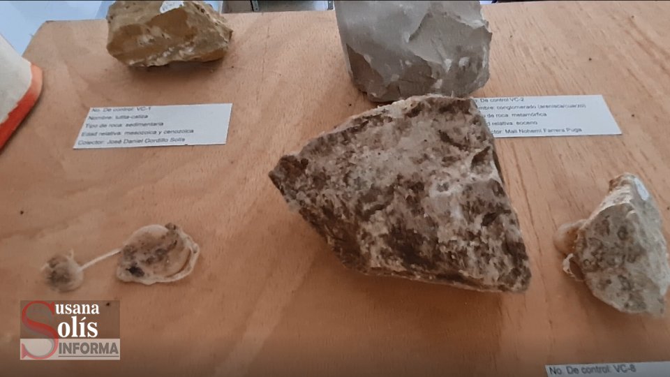 PODRÍAN demostrar investigadores que seres humanos no llegaron a América por el estrecho de Bering - Susana Solis Informa