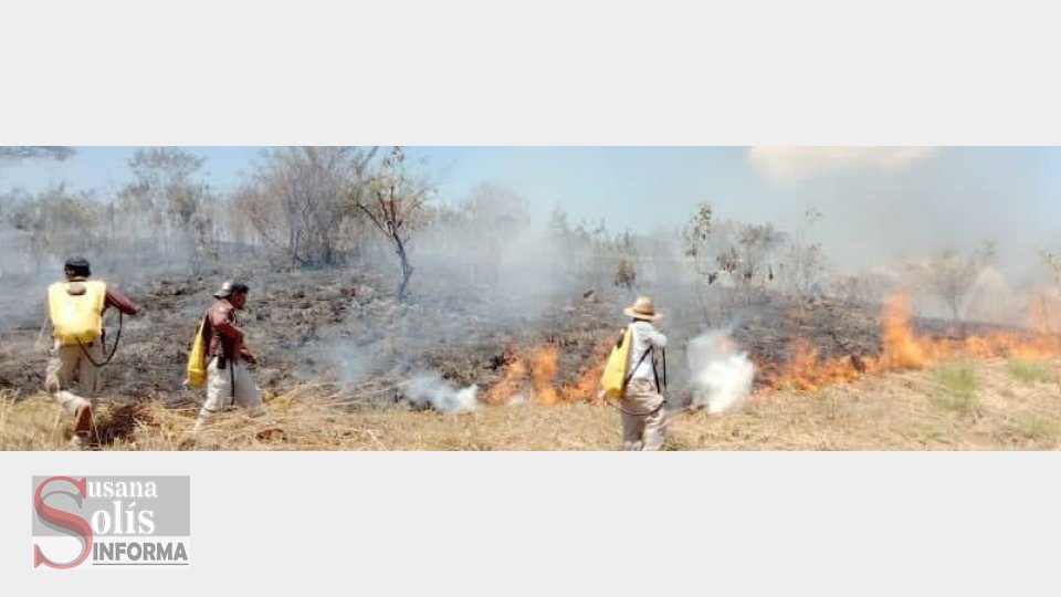 CHIAPAS se ubica en cuarto sitio con mayor superficie afectada por incendios forestales - Susana Solis Informa
