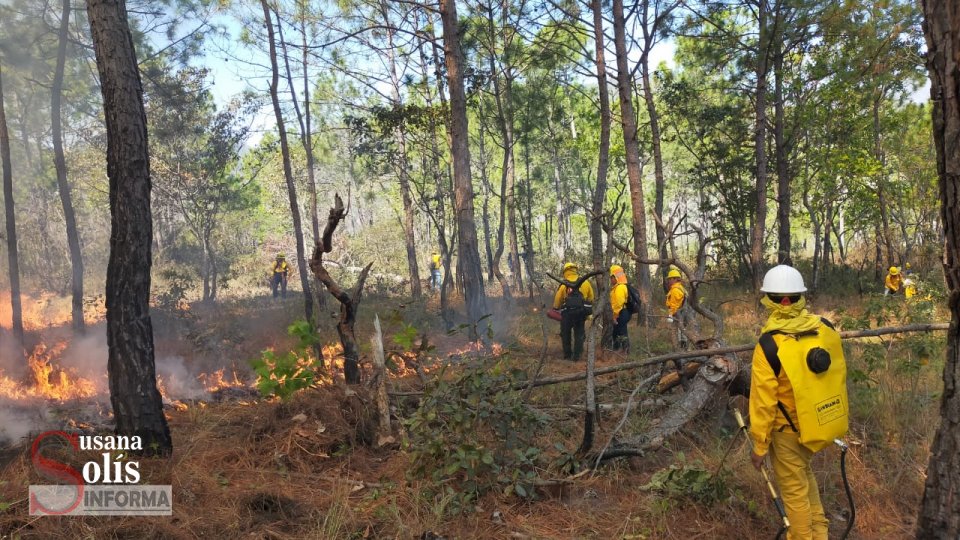 COMBATEN ocho incendios activos en Chiapas Susana Solis Informa