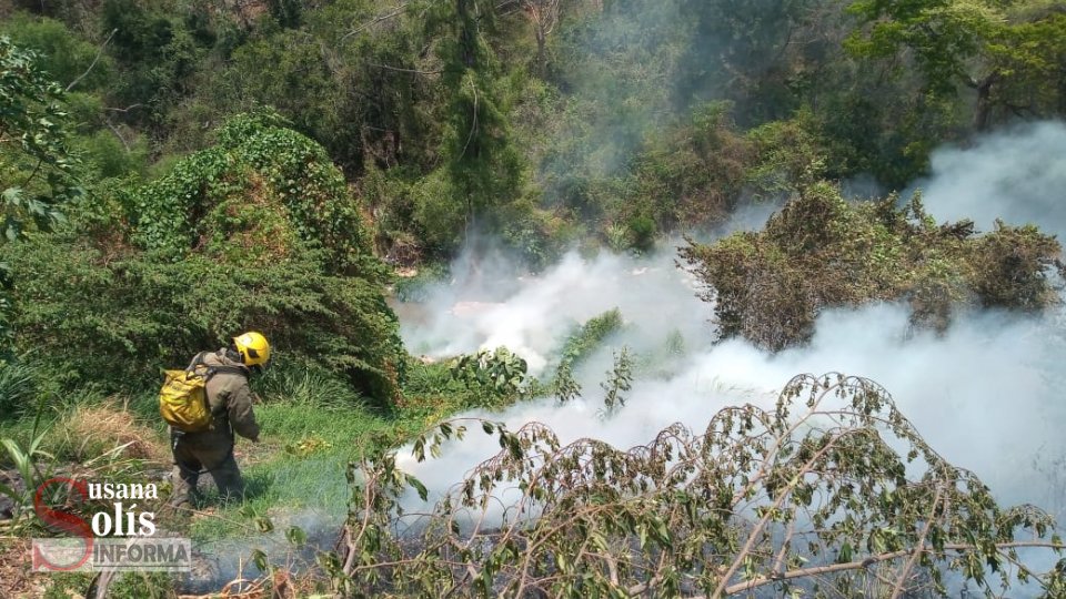 MÁS de 300 incendios destruyen 319 hectáreas en Tuxtla - Susana Solis Informa