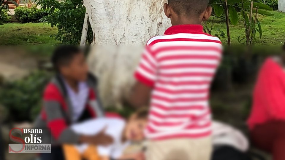 Molinos de viento : Migración atípica Susana Solis Informa