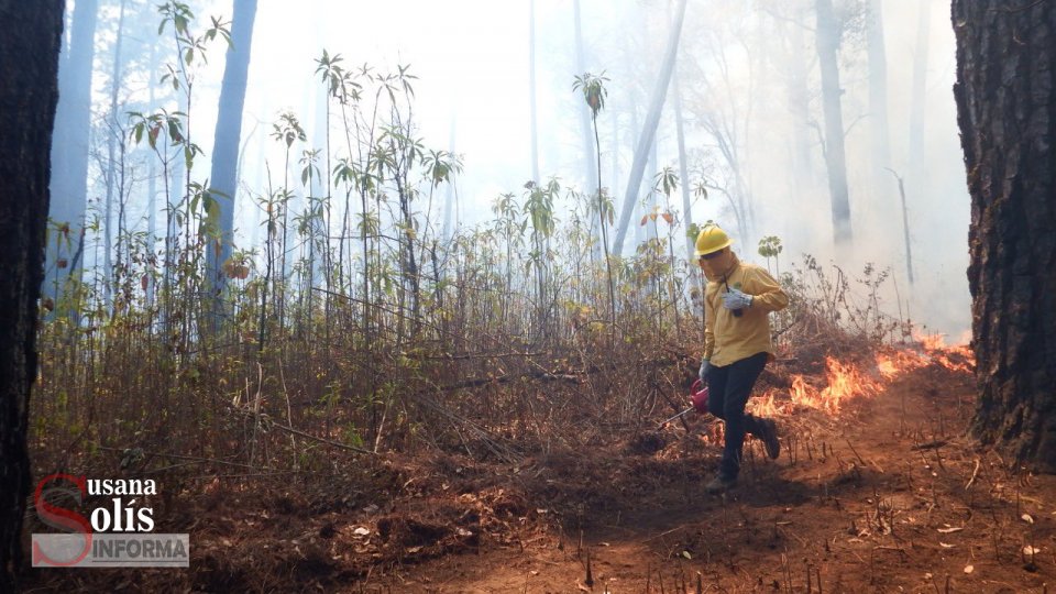 INCENDIOS destruyen Áreas Naturales Protegidas Susana Solis Informa