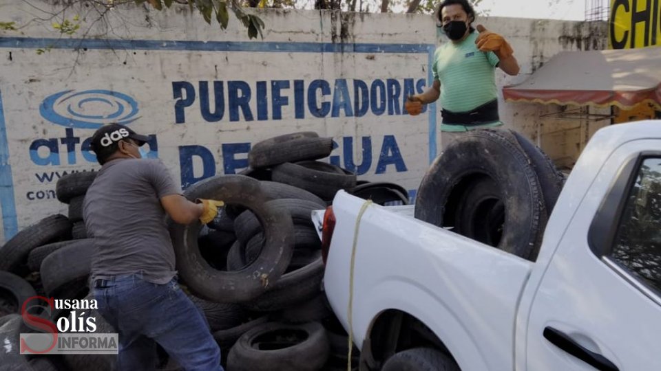 Se busca reducir riesgos de enfermedades como el dengue, zika y chikungunya