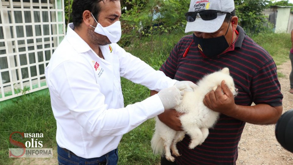 Ayuntamiento invita a la jornada de vacunación antirrábica para perros y gatos en La Misión - Susana Solis Informa