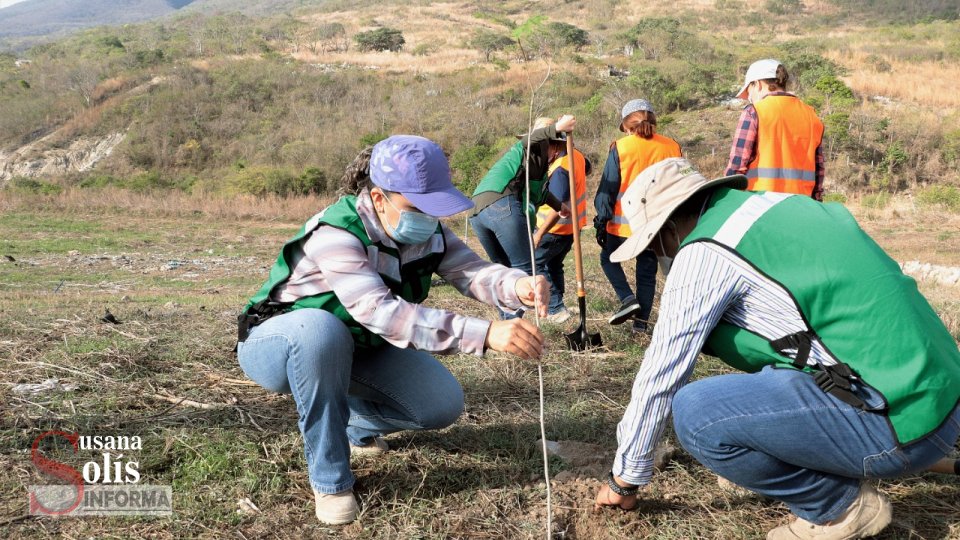 Ayuntamiento de Tuxtla reforesta sitio clausurado del Relleno Sanitario Susana Solis Informa
