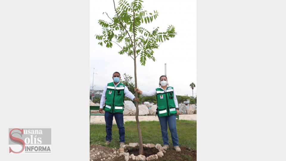 Más de mil árboles plantados en el arranque del programa de reforestación municipal “Plantando Futuro” - Susana Solis Informa