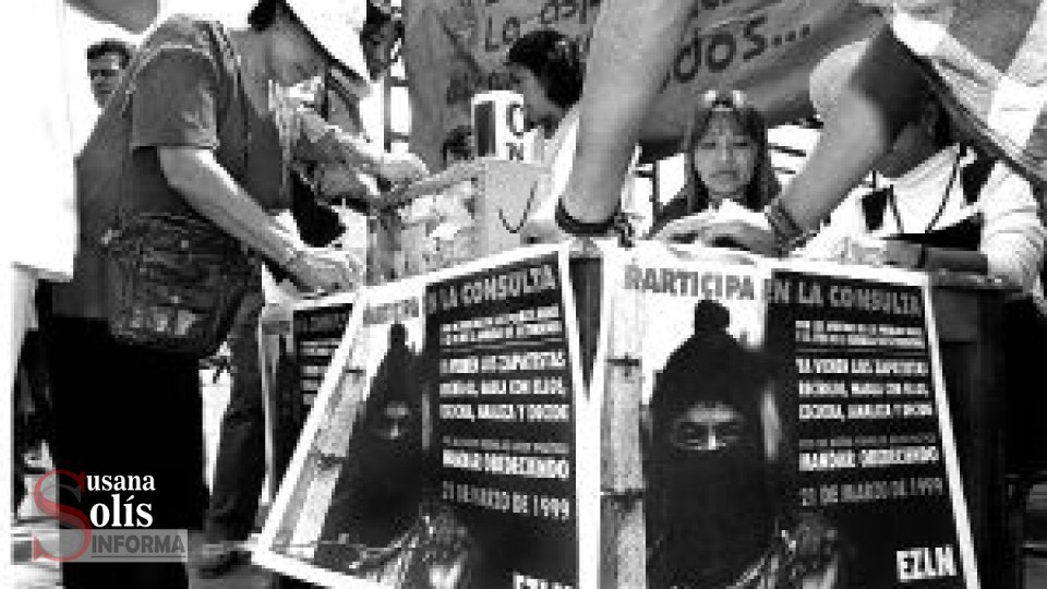 Semilla, cascada y consulta Susana Solis Informa