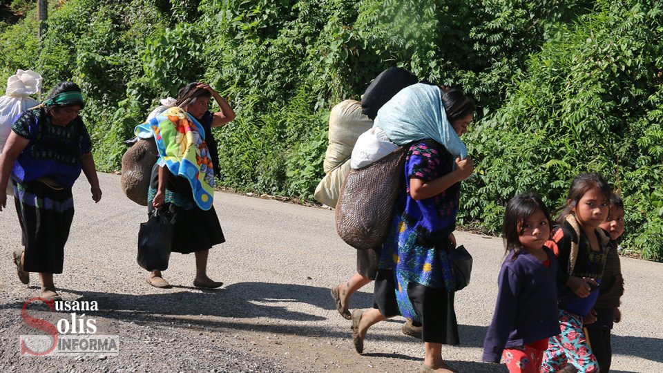 REGISTRAN NUEVOS desplazamientos por violencia en Pantelhó Susana Solis Informa
