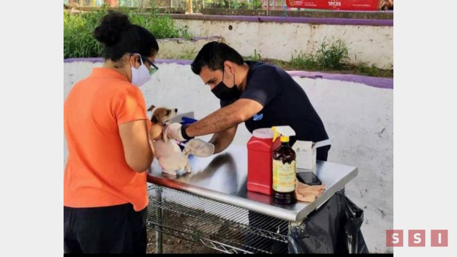 Arranca campaña de vacunación antirrábica en Tuxtla - Susana Solis Informa