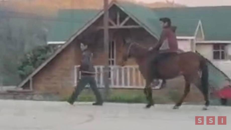 CASTIGAN a presuntos ladrones de caballo en Tenejapa - Susana Solis Informa