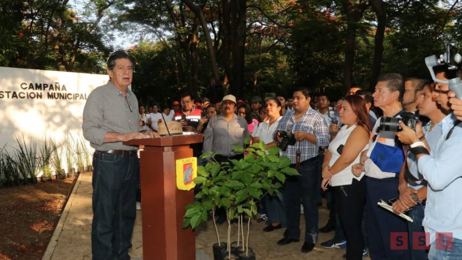 Inicia en Tuxtla campaña de reforestación con árboles nativos de la ciudad Susana Solis Informa