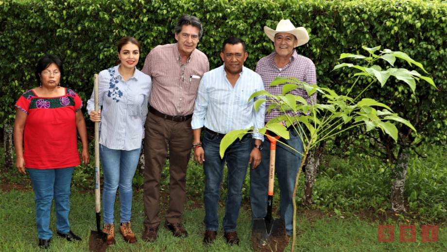 Avanza Tuxtla Gutiérrez en el tema de reforestación Susana Solis Informa