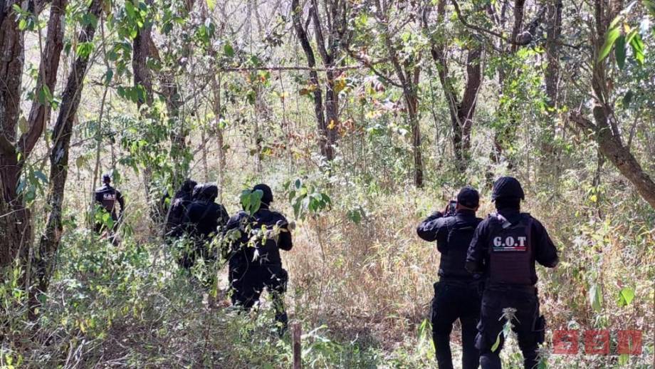 REALIZAN operativo para evitar caza ilegal en el Cañón del Sumidero - Susana Solis Informa