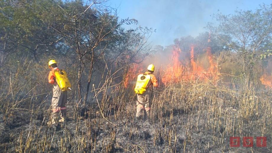 INCENDIOS en Tuxtla son a causa de quema de basura - Susana Solis Informa