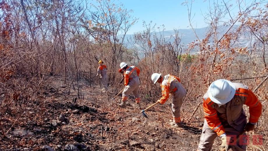 PREPARAN brechas cortafuego como prevención en época de estiaje - Susana Solis Informa