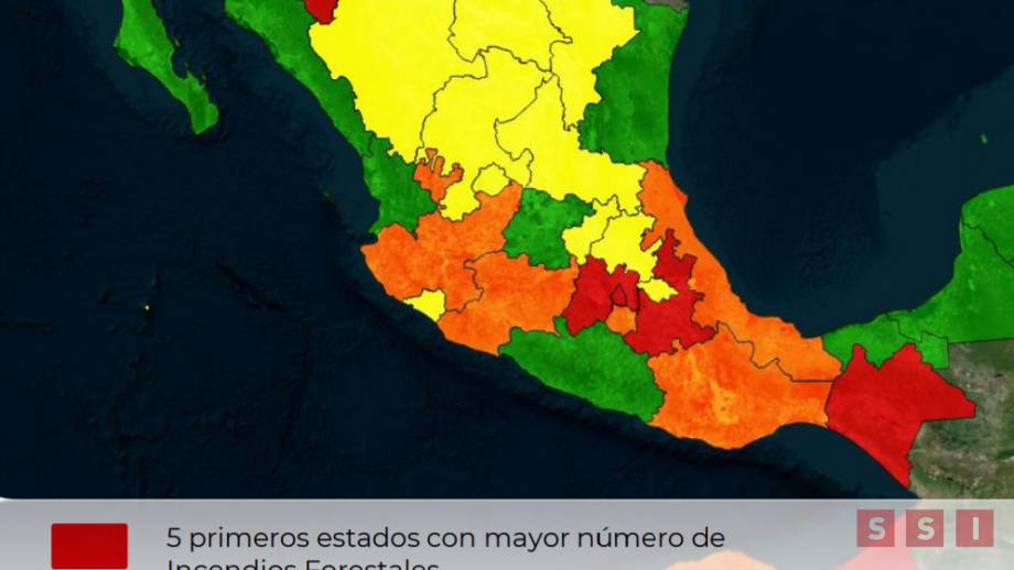 CHIAPAS con más hectáreas afectadas por incendios en el país: CONAFOR Susana Solis Informa