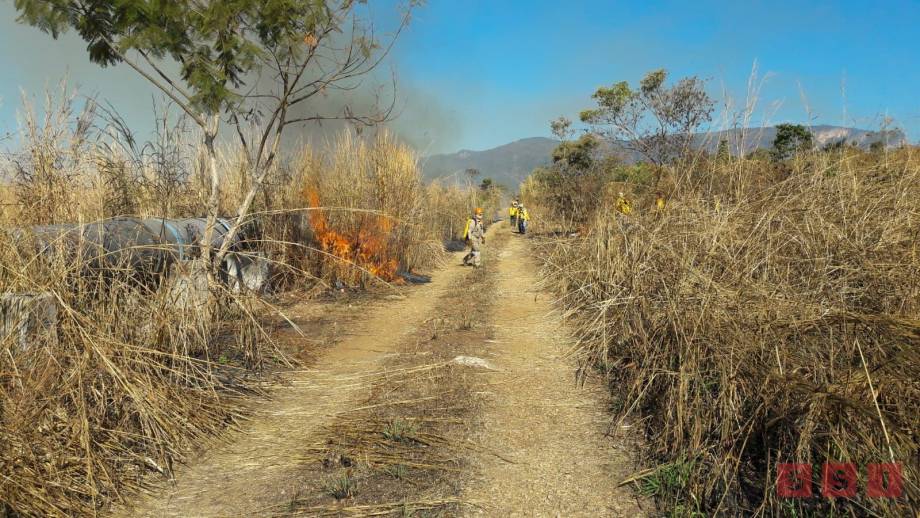Sistema Estatal y Municipal de Protección Civil trabajan en brechas cortafuegos - Susana Solis Informa