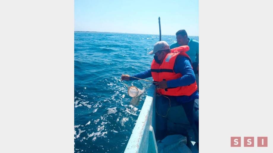 DESCARTAN marea roja en la costa de Chiapas - Susana Solis Informa