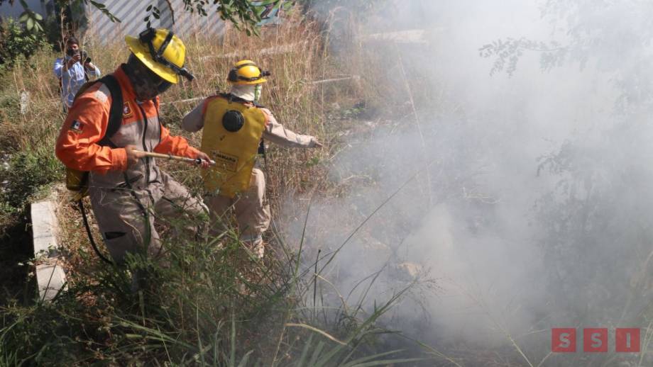 Coordinan esfuerzos dependencias municipales para evitar incendios forestales y urbanos en Tuxtla - Susana Solis Informa