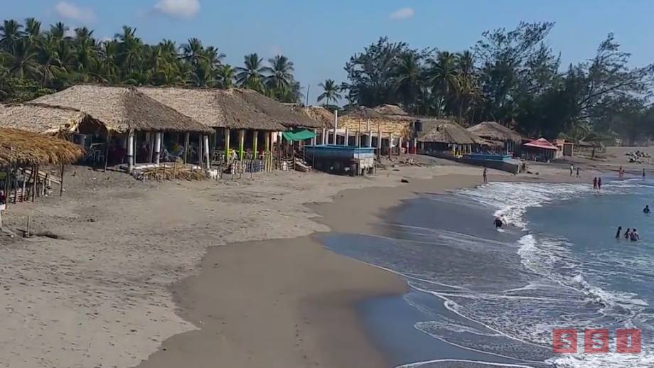 FALLECEN dos infantes por consumo de moluscos en la costa de Chiapas Susana Solis Informa