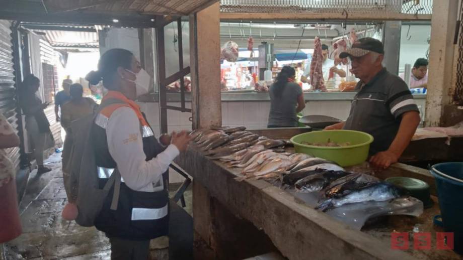 SIGUE marea roja en la costa de Chiapas - Susana Solis Informa