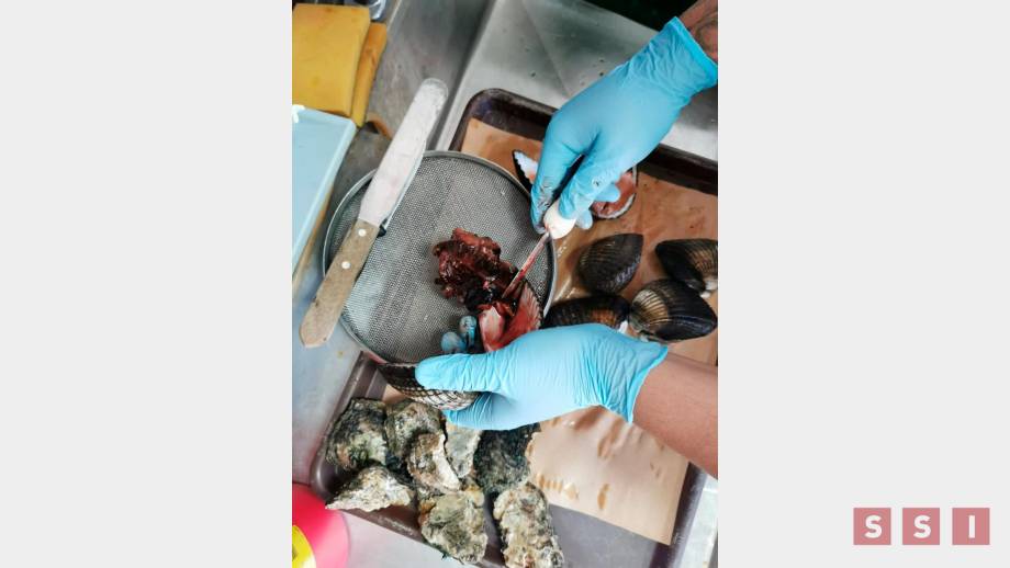 SE MANTIENE veda sanitaria por marea roja en Puerto Madero - Susana Solis Informa