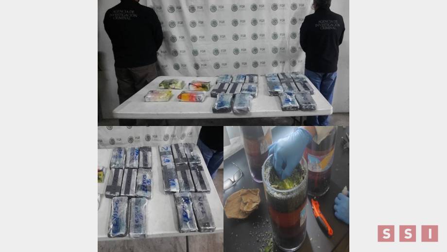 ASEGURA FGR cocaína en empresa de paquetería Susana Solis Informa