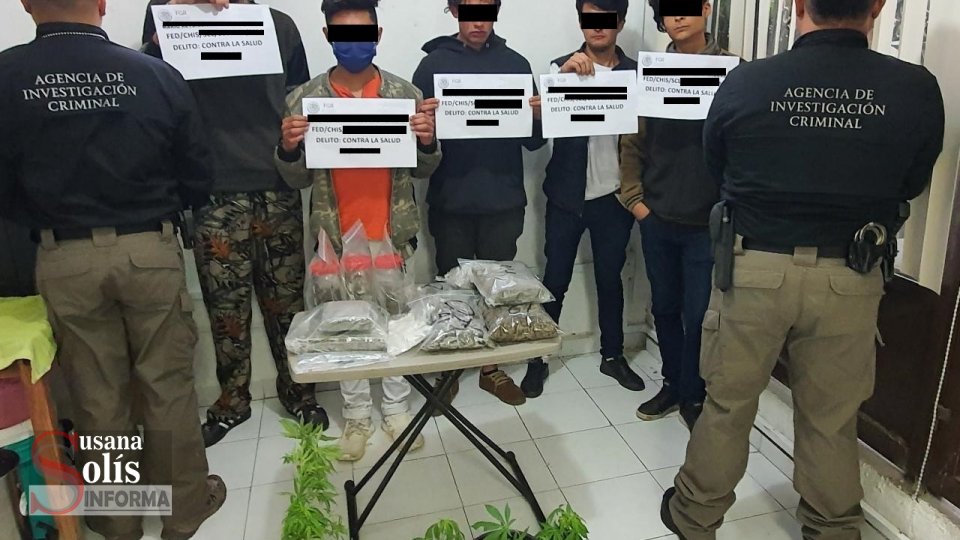 ASEGURAN drogas en #Palenque y #SanCristóbal en #Chiapas - Susana Solis Informa