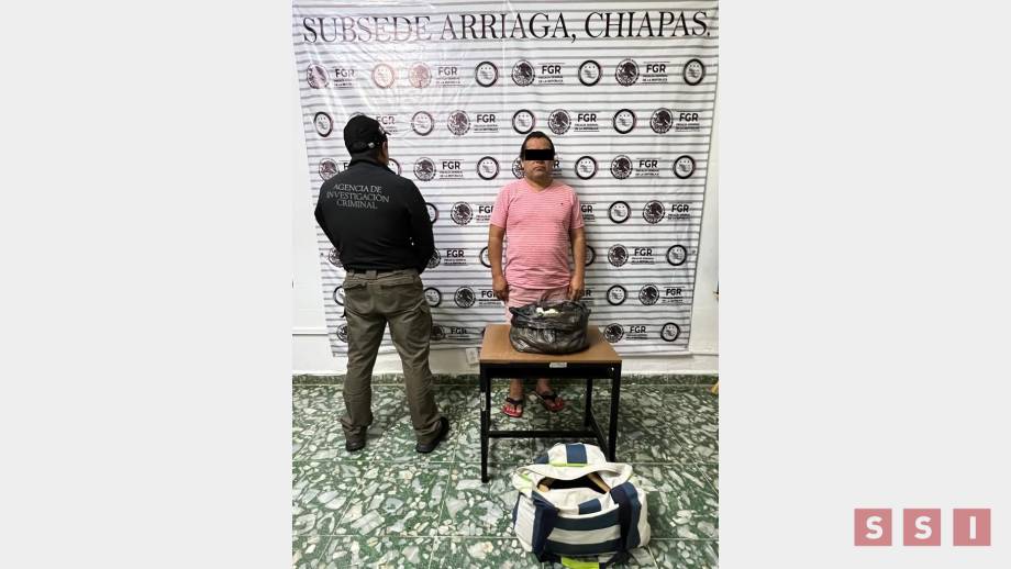 Decomisan cientos de huevos de tortuga; hay un detenido - Susana Solis Informa