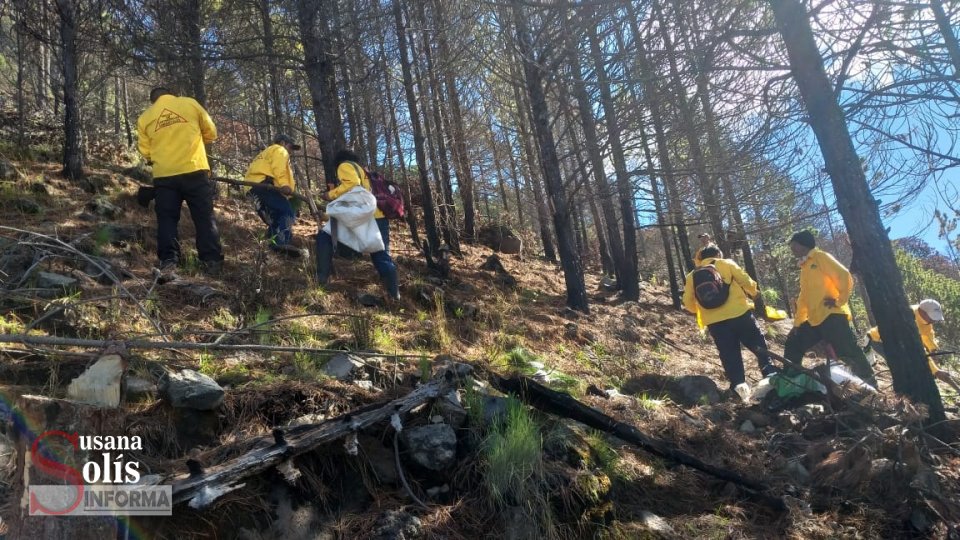 REFORESTAN zonas dañadas por incendios en biosfera del #Tacaná Susana Solis Informa