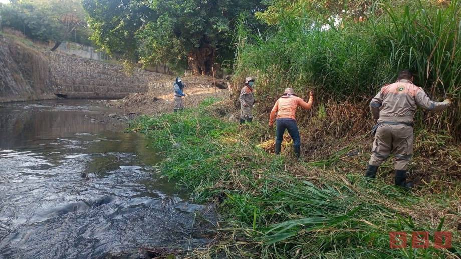 Realiza Protección Civil Tuxtla informe de avances de la limpieza y desazolve del Río Sabinal Susana Solis Informa