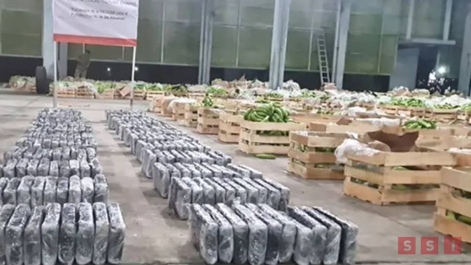 Incautan más de 274 kg de cocaína que iban en cajas de plátano - Susana Solis Informa